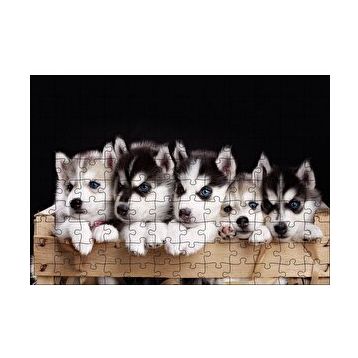 Cakapuzzle Tahta Kasa İçinde Beş Husky Yavrusu 120 Parça Ahşap Puzzle