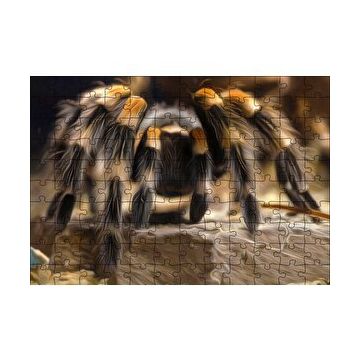 Cakapuzzle Tarantula Dijital Çizim 120 Parça Ahşap Puzzle