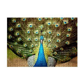 Cakapuzzle Tavus Kuşu Mavili Yeşilli 255 Parça Puzzle