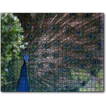 Cakapuzzle Tavuskuşu ve Harikulade Tüyleri 255 Parça Puzzle