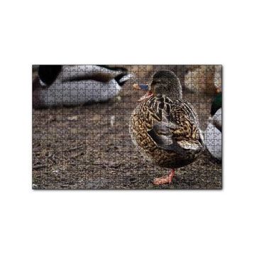 Cakapuzzle Tek Ayak Üzerinde Duran Ördek Yavrusu 120 Parça Ahşap Puzzle