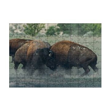 Cakapuzzle Toslaşan Bizonlar 120 Parça Ahşap Puzzle