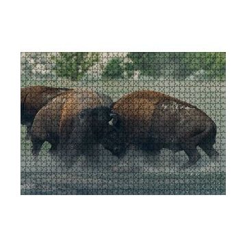 Cakapuzzle Toslaşan Bizonlar 120 Parça Ahşap Puzzle
