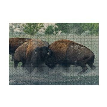 Cakapuzzle Toslaşan Bizonlar 120 Parça Ahşap Puzzle