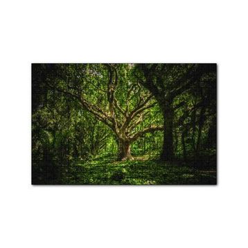 Cakapuzzle Tropik Orman 120 Parça Ahşap Puzzle