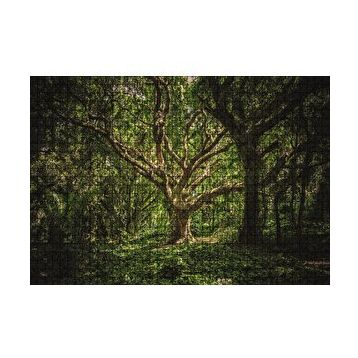 Cakapuzzle Tropik Orman 120 Parça Ahşap Puzzle
