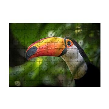 Cakapuzzle Tropikal Kuş Tucan Yakın Plan 120 Parça Ahşap Puzzle