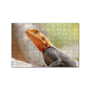 Cakapuzzle Turuncu Başlı Kertenkele Yakın Çekim 120 Parça Ahşap Puzzle