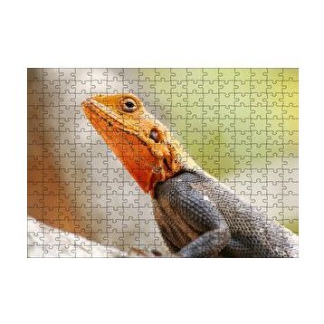Cakapuzzle Turuncu Başlı Kertenkele Yakın Çekim 120 Parça Ahşap Puzzle