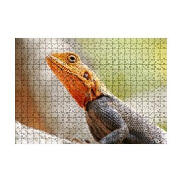 Cakapuzzle Turuncu Başlı Kertenkele Yakın Çekim 120 Parça Ahşap Puzzle