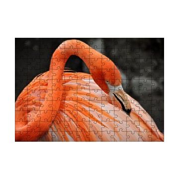 Cakapuzzle Turuncu Flamingo 120 Parça Ahşap Puzzle