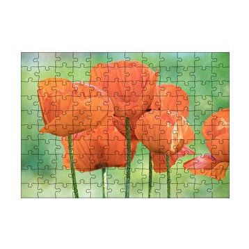 Cakapuzzle Turuncu Gelincikler 120 Parça Ahşap Puzzle