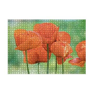 Cakapuzzle Turuncu Gelincikler 120 Parça Ahşap Puzzle