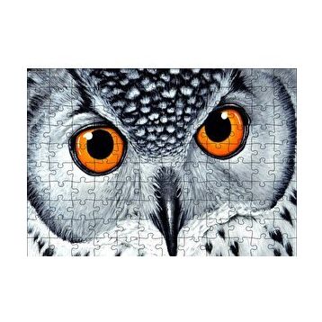 Cakapuzzle Turuncu Gözlü Kar Baykuşu Yakın Plan 120 Parça Ahşap Puzzle