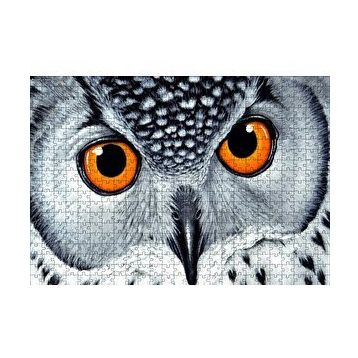 Cakapuzzle Turuncu Gözlü Kar Baykuşu Yakın Plan 120 Parça Ahşap Puzzle