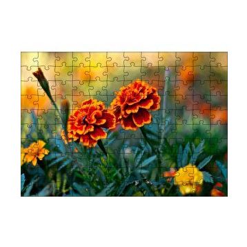 Cakapuzzle Turuncu Karanfil Çiçeği Görseli 120 Parça Ahşap Puzzle