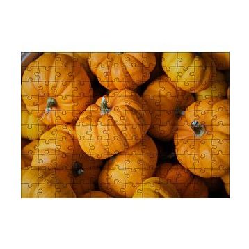 Cakapuzzle Turuncu Minyatür Kabaklar Yakın Plan 120 Parça Ahşap Puzzle