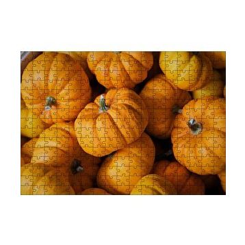 Cakapuzzle Turuncu Minyatür Kabaklar Yakın Plan 120 Parça Ahşap Puzzle