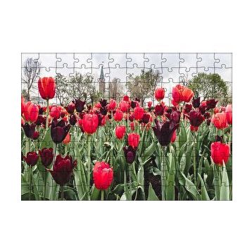 Cakapuzzle Turuncu Ve Mor Laleler 120 Parça Ahşap Puzzle