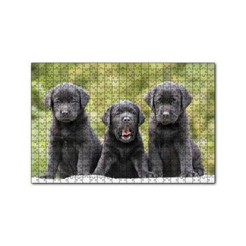 Cakapuzzle Üç Sevimli Siyah Yavru Köpek 120 Parça Ahşap Puzzle