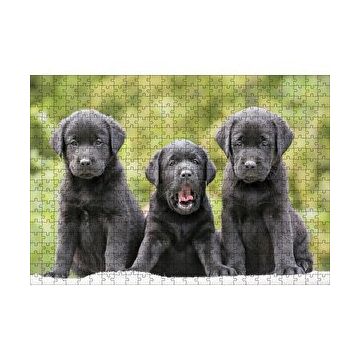 Cakapuzzle Üç Sevimli Siyah Yavru Köpek 120 Parça Ahşap Puzzle