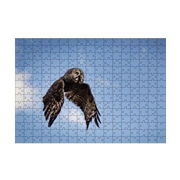Cakapuzzle Uçan Baykuş 120 Parça Ahşap Puzzle