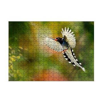 Cakapuzzle Uçan Cennet Kuşu 120 Parça Ahşap Puzzle