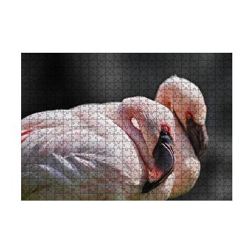Cakapuzzle Uyuklayan Bir Çift Flamingo 120 Parça Ahşap Puzzle