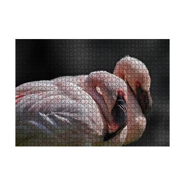 Cakapuzzle Uyuklayan Flamingolar 120 Parça Ahşap Puzzle