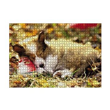 Cakapuzzle Uyuyan Yavru Köpek 120 Parça Ahşap Puzzle