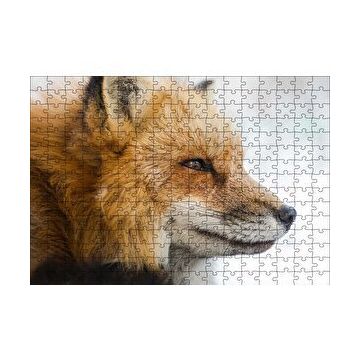 Cakapuzzle Uzakları İzleyen Kızıl Tilki Yakın Çekim 120 Parça Ahşap Puzzle