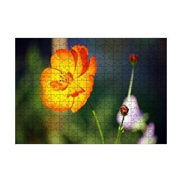 Cakapuzzle Yabani Portakal Çiçeği 120 Parça Ahşap Puzzle