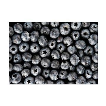 Cakapuzzle Yabanmersini Meyveleri Yanaşık Düzen 120 Parça Ahşap Puzzle
