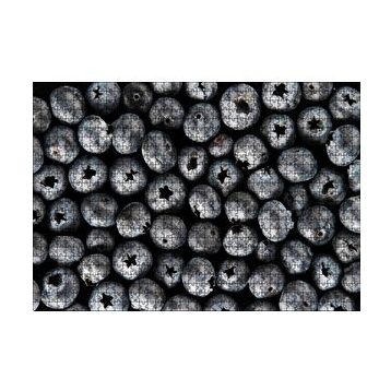 Cakapuzzle Yabanmersini Meyveleri Yanaşık Düzen 120 Parça Ahşap Puzzle