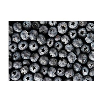 Cakapuzzle Yabanmersini Meyveleri Yanaşık Düzen 120 Parça Ahşap Puzzle