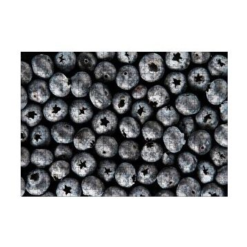 Cakapuzzle Yabanmersini Meyveleri Yanaşık Düzen 120 Parça Ahşap Puzzle