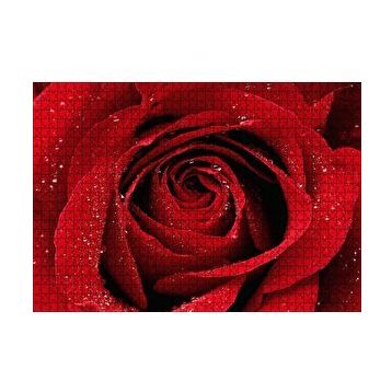 Cakapuzzle Yağmur Damlası Ve Güzel Gül Fotoğrafı 120 Parça Ahşap Puzzle