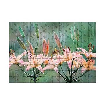 Cakapuzzle Yağmur Ve Zambak Yaprakları 120 Parça Ahşap Puzzle