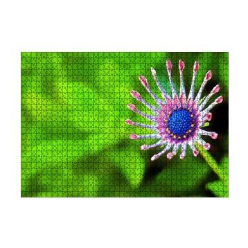 Cakapuzzle Yakın Çekim Çiçek Yeşil Flu Arkaplan 120 Parça Ahşap Puzzle