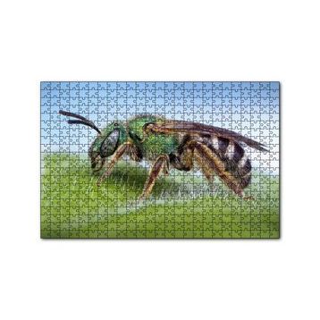 Cakapuzzle Yaprağın Üzerindeki Yaban Arısı Makro Çekim 120 Parça Ahşap Puzzle
