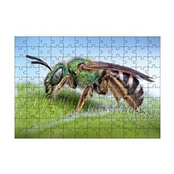 Cakapuzzle Yaprağın Üzerindeki Yaban Arısı Makro Çekim 120 Parça Ahşap Puzzle