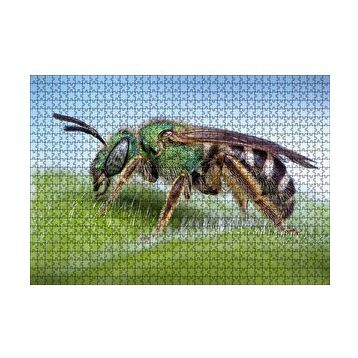 Cakapuzzle Yaprağın Üzerindeki Yaban Arısı Makro Çekim 120 Parça Ahşap Puzzle
