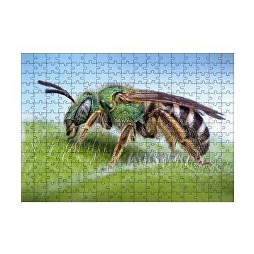 Cakapuzzle Yaprağın Üzerindeki Yaban Arısı Makro Çekim 120 Parça Ahşap Puzzle