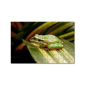 Cakapuzzle Yaprak Üzerinde Dinlenen Yeşil Kurbağa 120 Parça Ahşap Puzzle
