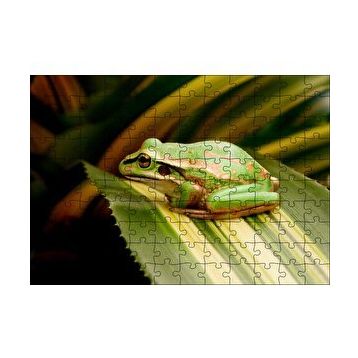 Cakapuzzle Yaprak Üzerinde Dinlenen Yeşil Kurbağa 120 Parça Ahşap Puzzle