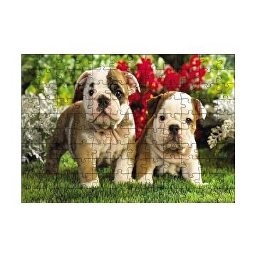 Cakapuzzle Yavru Bulldogs 120 Parça Ahşap Puzzle