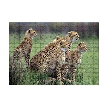 Cakapuzzle Yavrularına Eğitim Veren Anne Çita 120 Parça Ahşap Puzzle