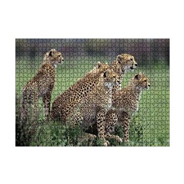 Cakapuzzle Yavrularına Eğitim Veren Anne Çita 120 Parça Ahşap Puzzle