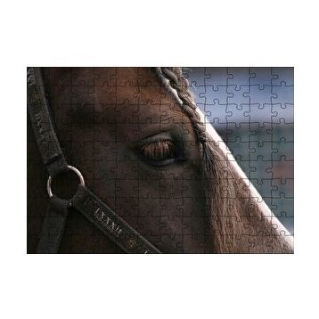 Cakapuzzle Yelesi Örülü Kahverengi At Yakın Çekim 120 Parça Ahşap Puzzle