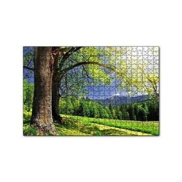 Cakapuzzle Yemyeşil Ağaçlar ve Güneş Işıkları 255 Parça Puzzle